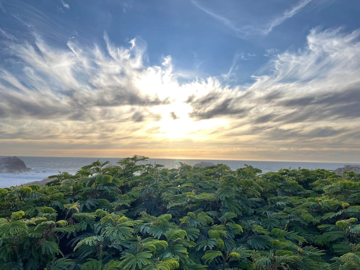 "How do I get back in shape?"